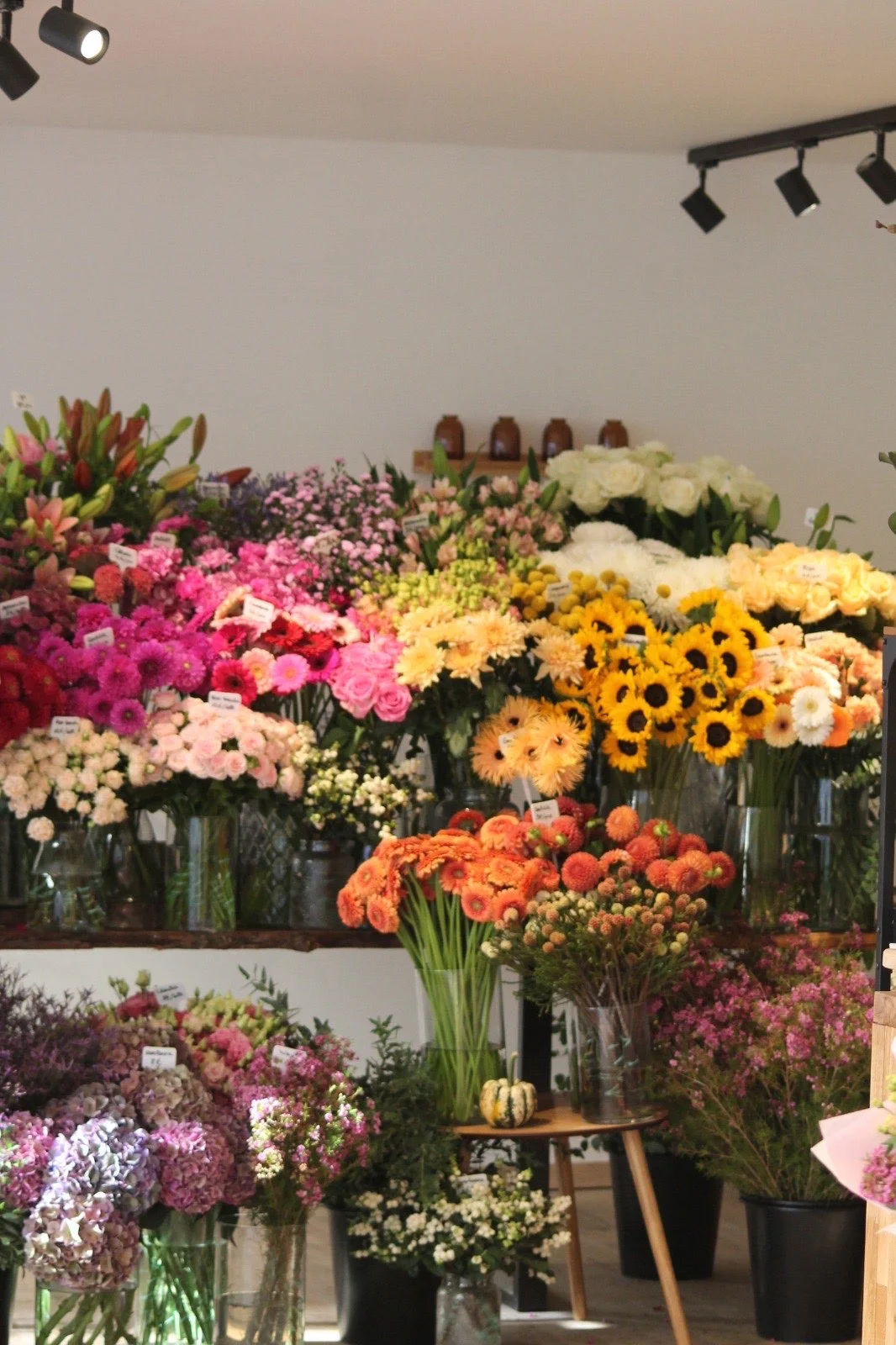Intérieur de la boutique Maison Florale Mélina à Bar-le-Duc